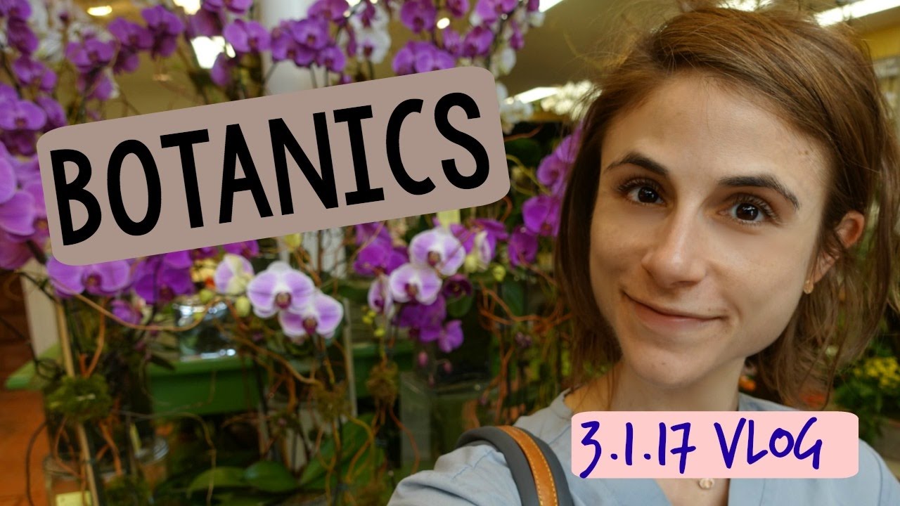Botanical skin care: citrus, cactus, aloe plant store 🍋🌱🌿🙆