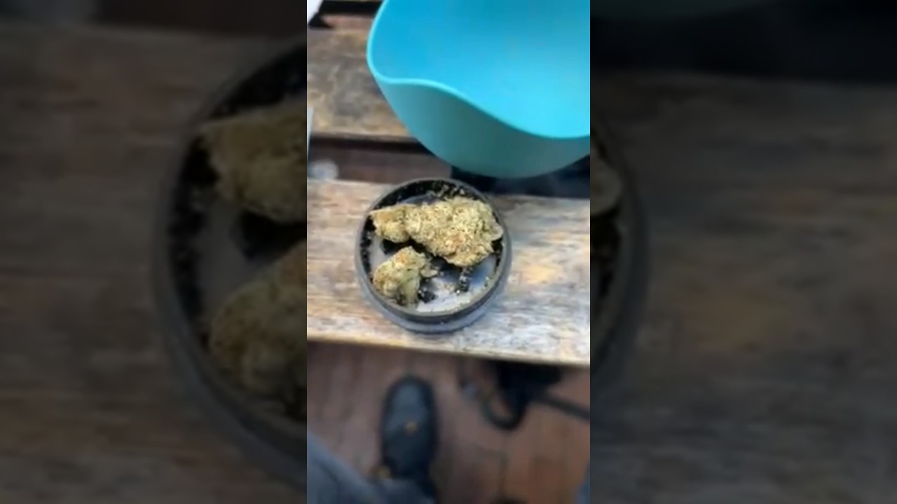 Gumbo (Easy Times Coffeeshop) Amsterdam Coffeeshop Weed