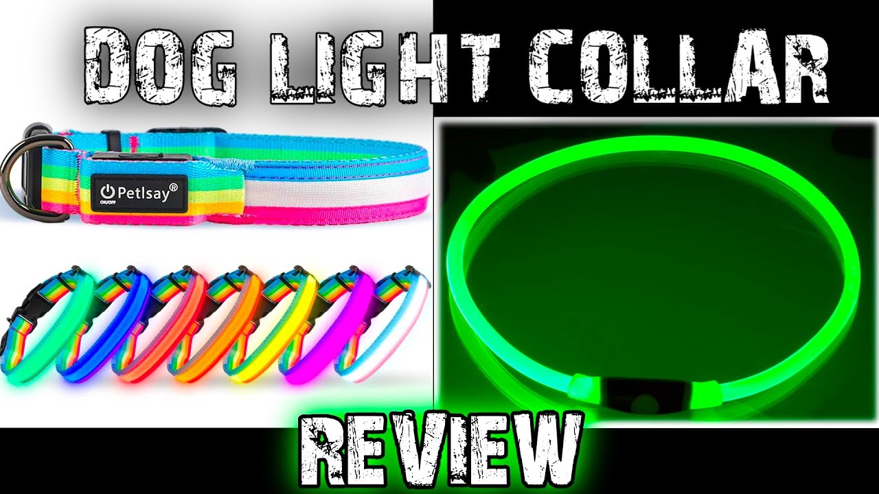 Nitehowl Vs. PetIsay Dog Light Collar Review & Comparison