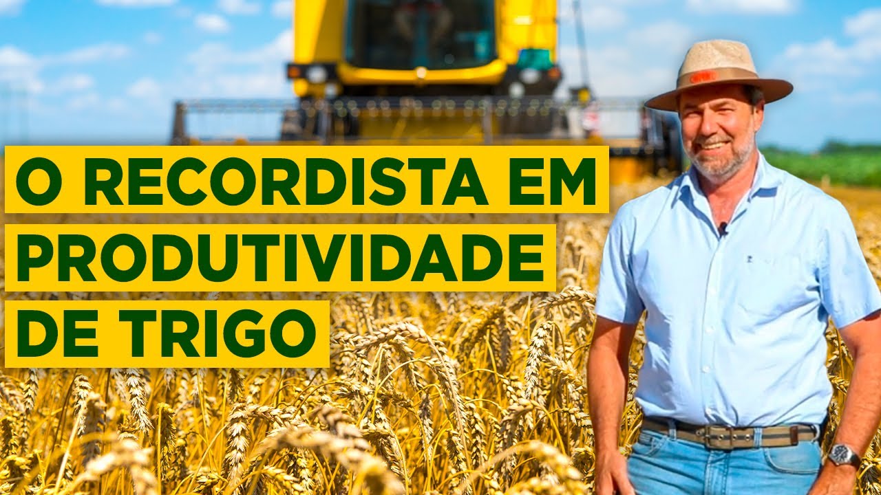 Recorde de Trigo no Brasil: Estratégias e Tecnologias Utilizadas