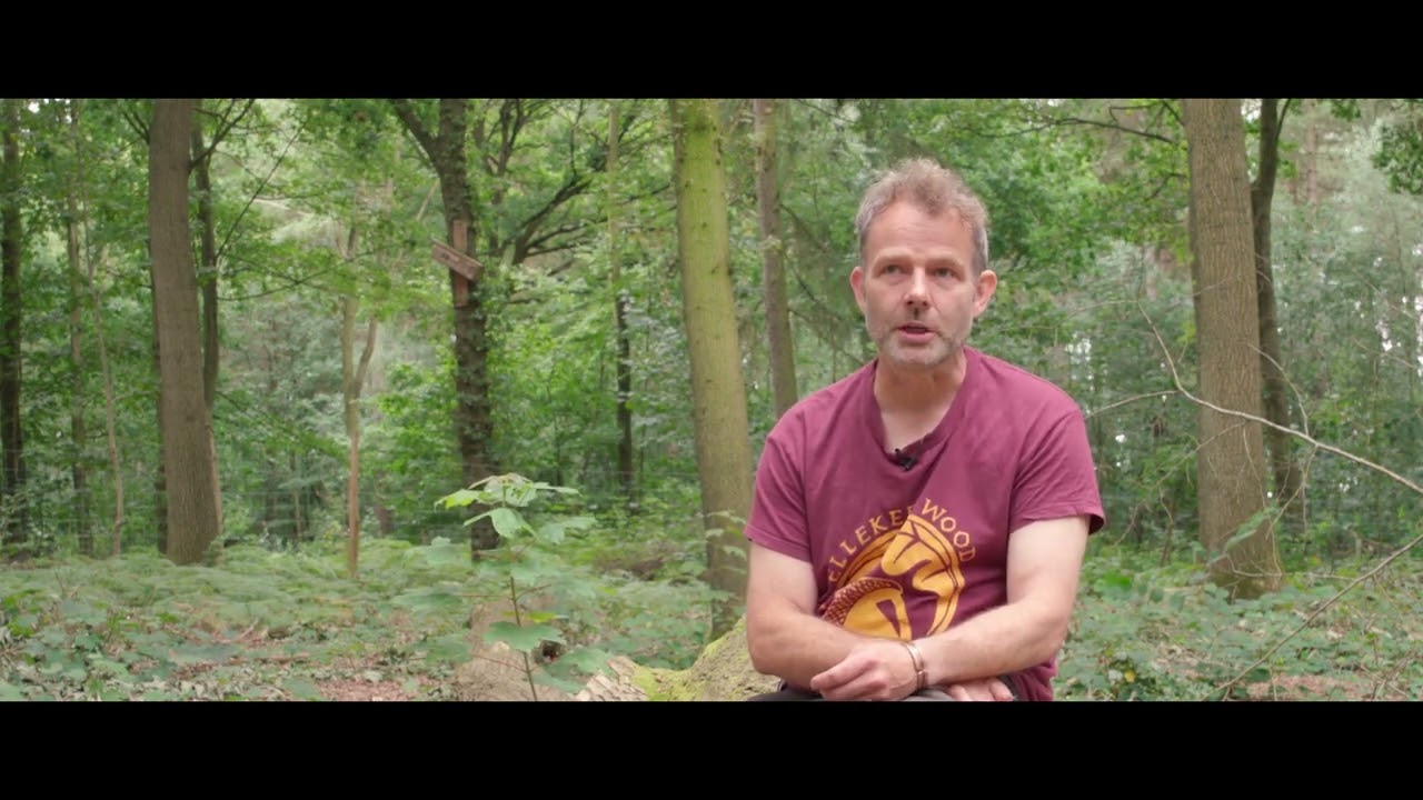 Ellekers Wood | Woodland Management Case Study