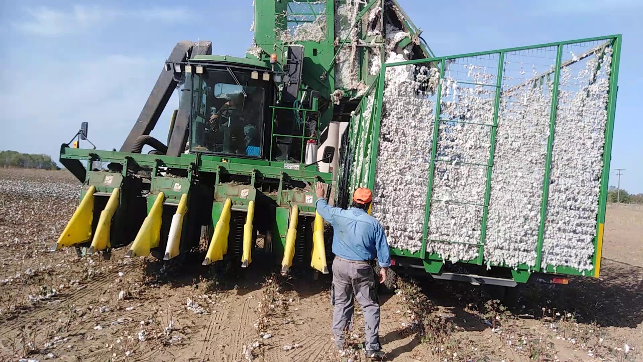 John Deere 9965 9960 Cotton Harvest Kastanies Evrou 7.10.2020
