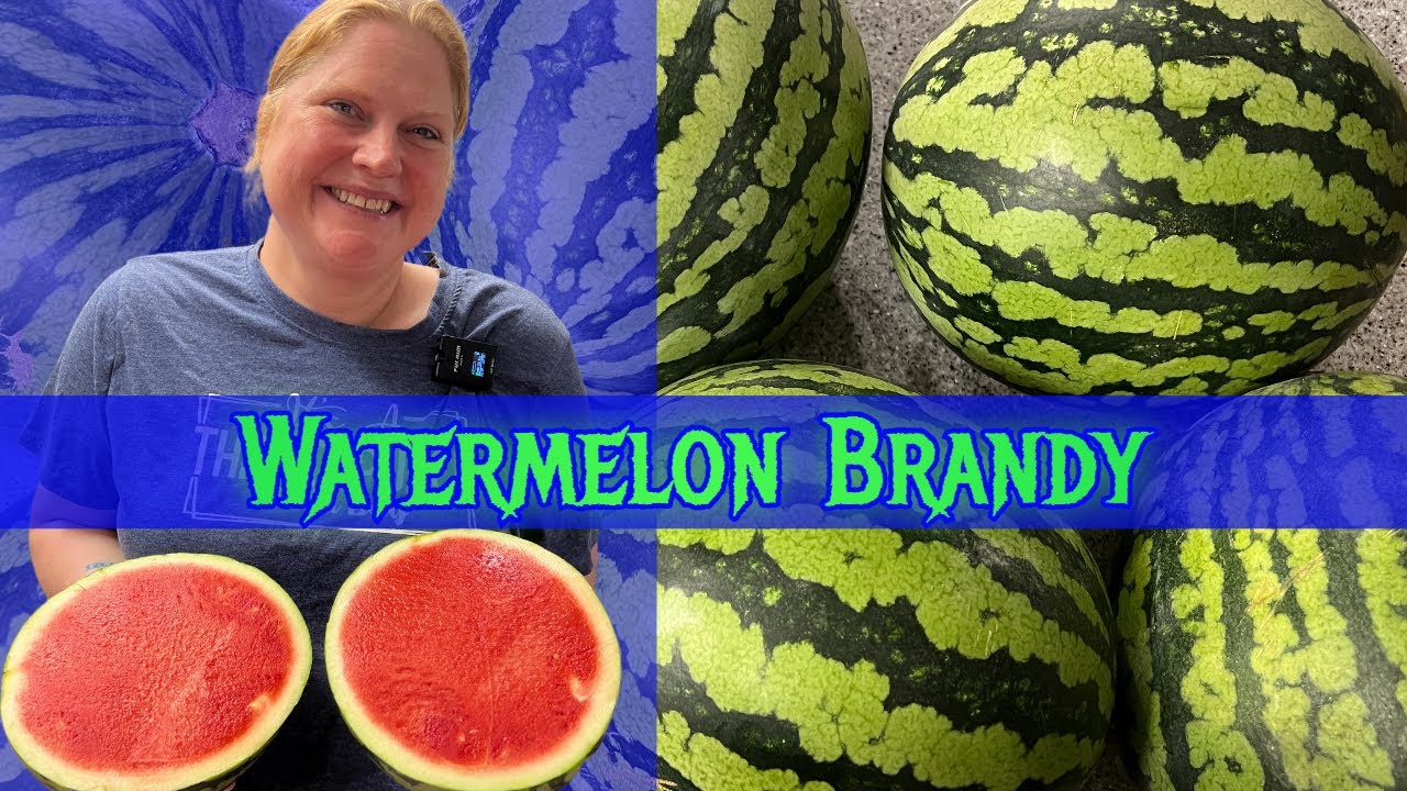 Watermelon Brandy Recipe! How to Make Homemade Watermelon Brandy