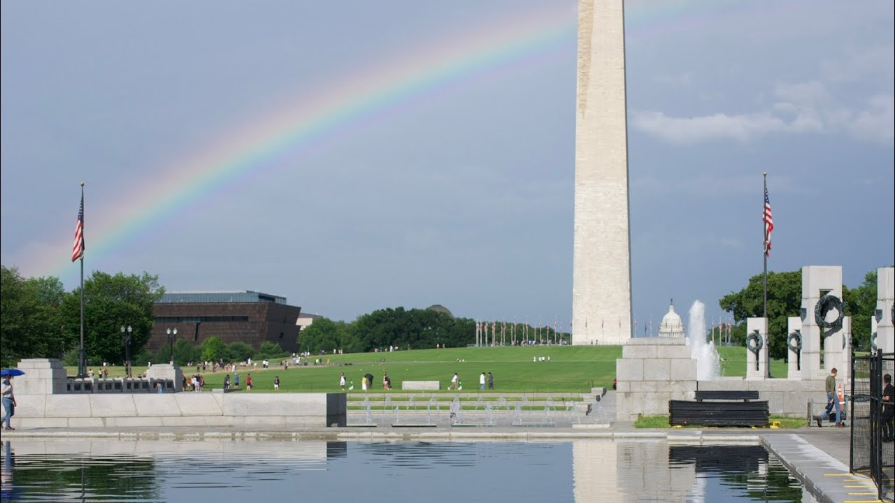 UFC Media Day, Baby Ducks, and a rainbow over the Reflecting Pool