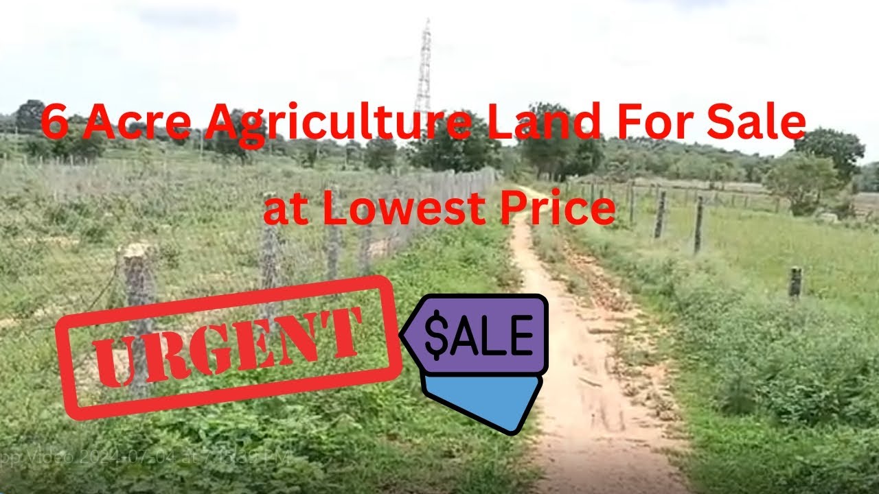Prime 6-Acre Red Soil Farm Land for Sale in Jangoan - Perfect for a Farmhouse and Various Crops