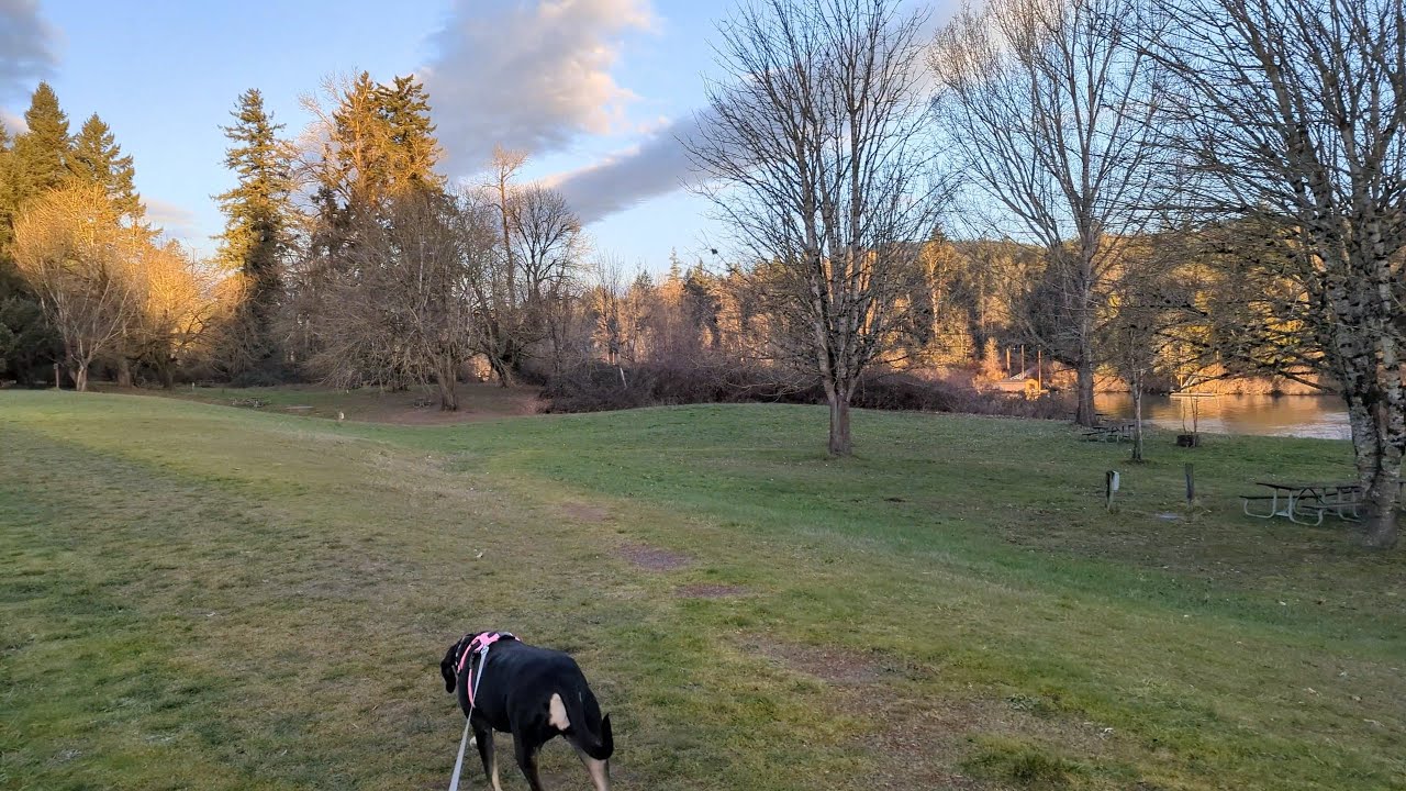 Morning Dog Walk | Just Before Sunrise at Champoeg State Park
