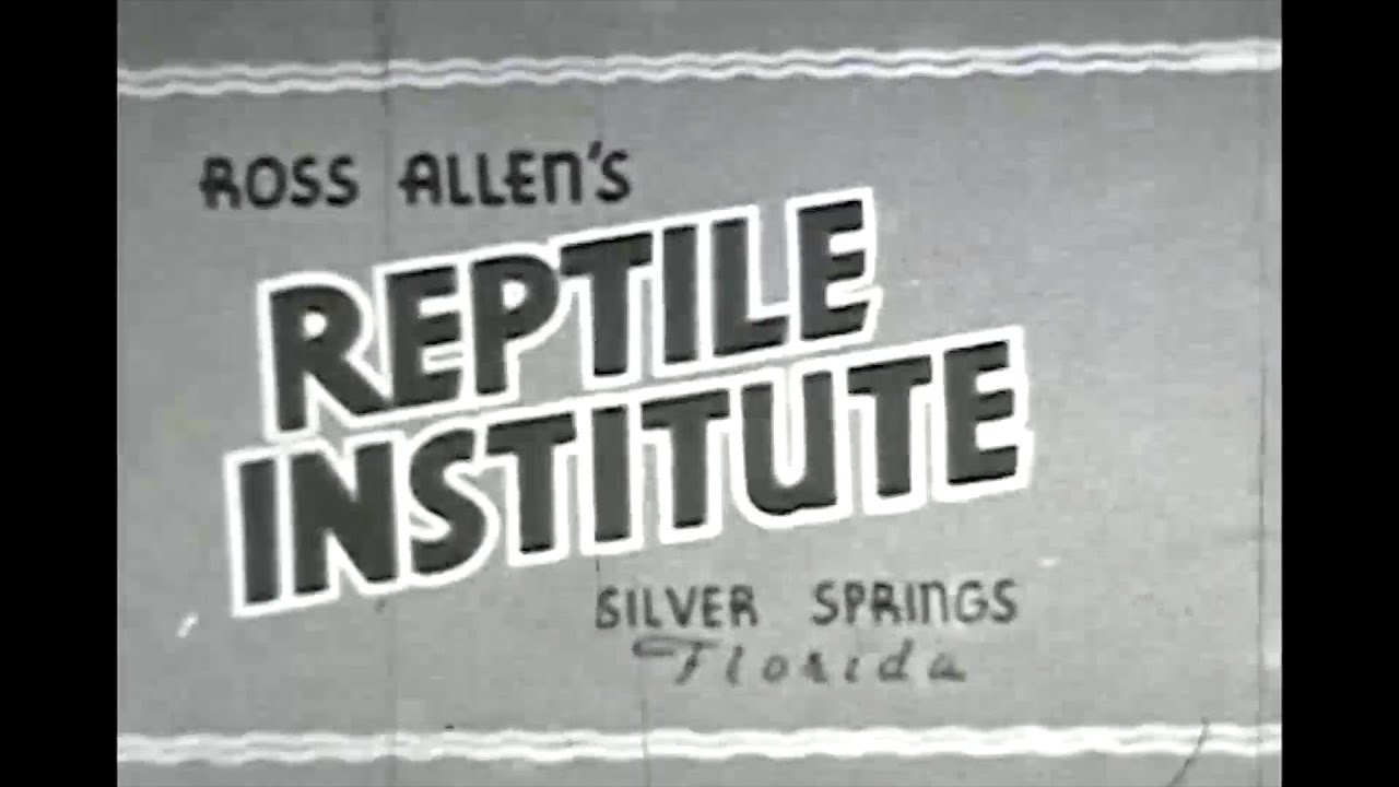Ross Allen's Reptile Institute