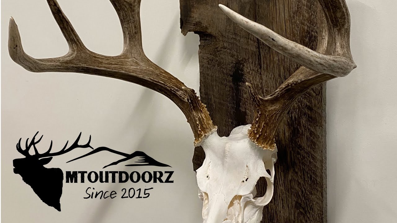 DIY- Rustic EURO MOUNT Wall Hanger