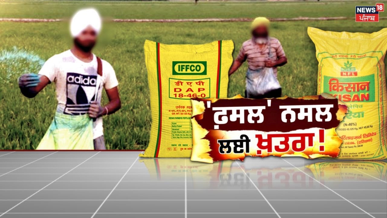 Special Report | ਪੰਜਾਬ ਨੂੰ ਗ੍ਰਹਿਣ 'ਜ਼ਹਿਰੀਲੀ ਖਾਦ' 'ਫ਼ਸਲ' ਨਸਲ ਲਈ ਖ਼ਤਰਾ ! | Uria | Punjab Farmers