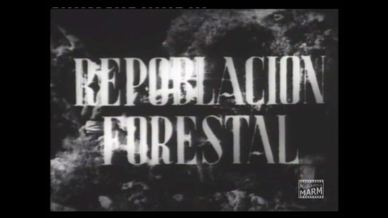 Repoblación forestal. 1942
