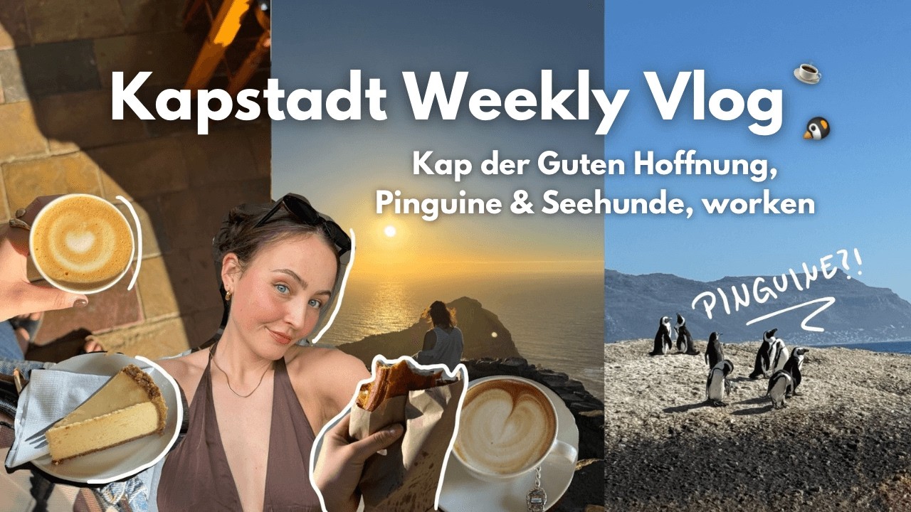 Wir haben Pinguine gesehen! 😍 Kapstadt Vlog | Janne Greta