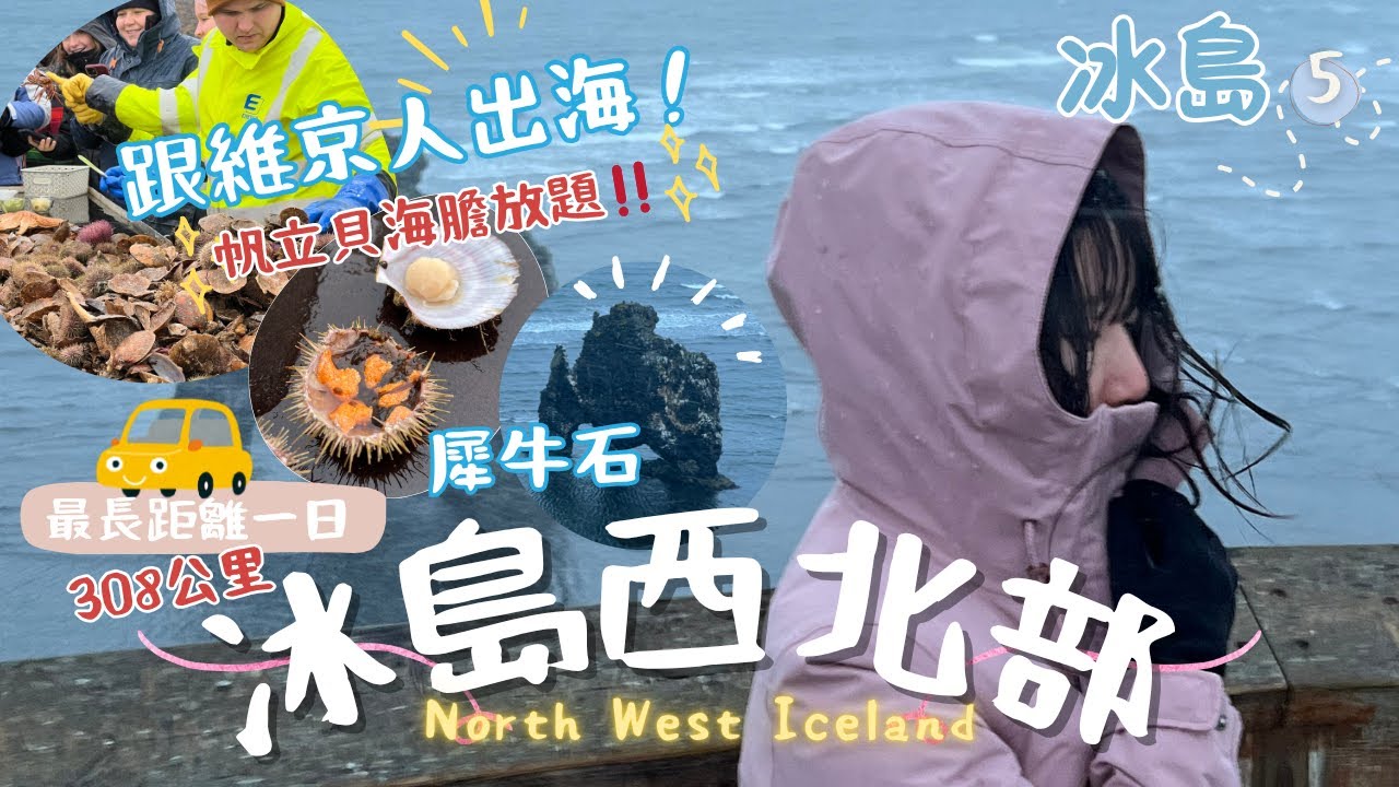 【🇮🇸冰島西北部】跟維京人出海吃新鮮漁獲⛴️帆立貝海膽放題‼️／ 暴風雨中看超巨型犀牛石 ／世界遺跡蟻丘火山⛰️冰島小鎮最便宜住宿｜EP5｜卡菲 Cathy