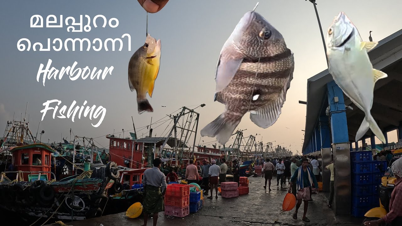 Malappuram Ponnani Harbour and sea fishing with friends