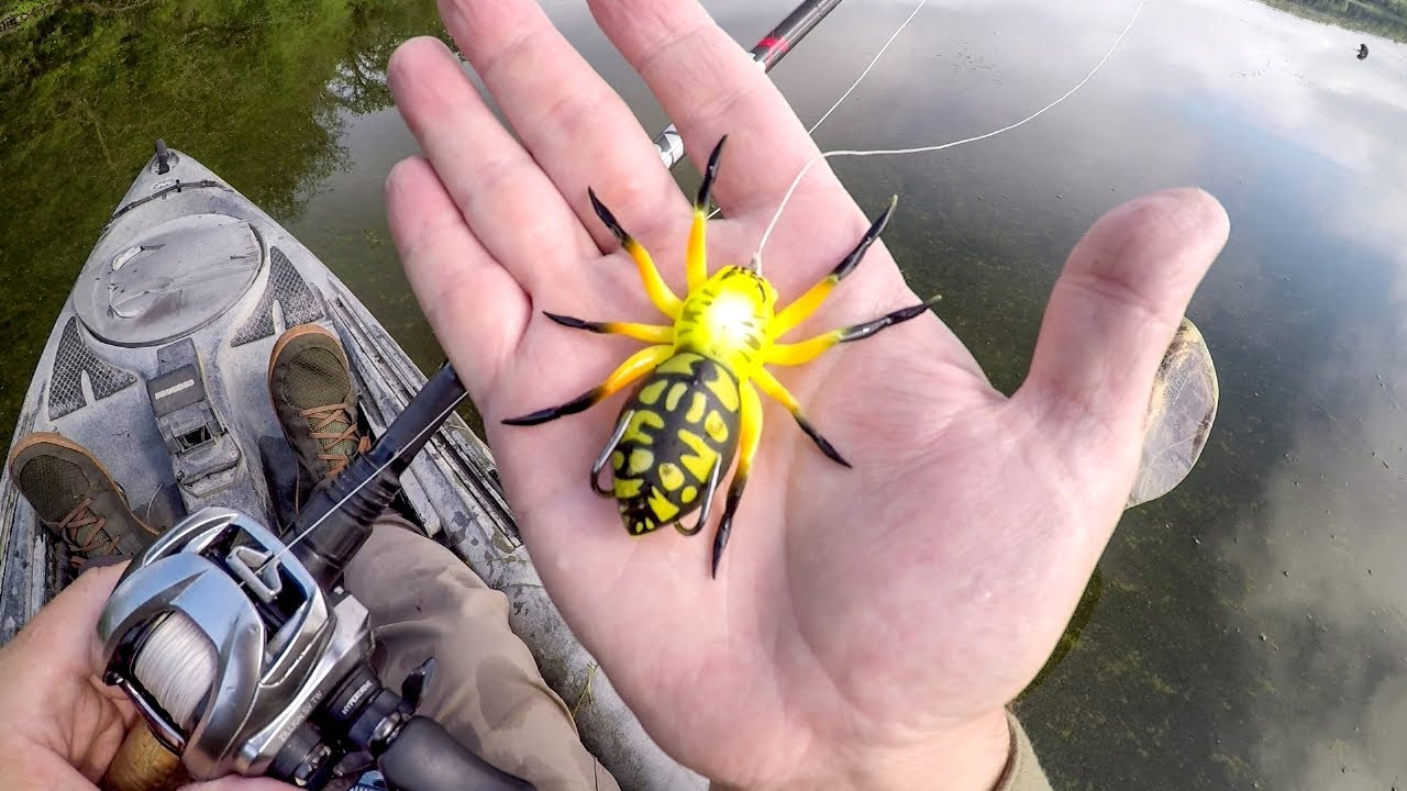 Bass Smash Spiders!