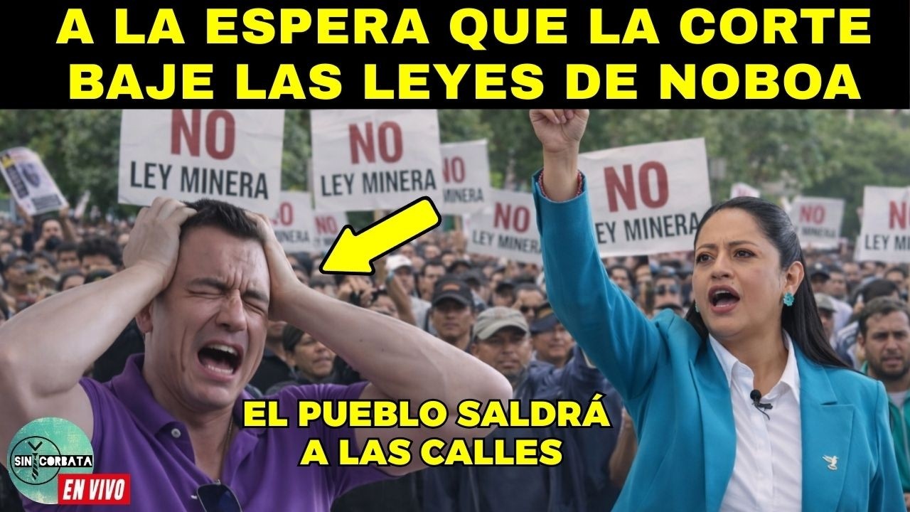 LA CORTE TIENE QUE DETENER EL 4BUSO DE NOBOA ¡SE CAE LA LEY MINERA Y LA LEY GADS!