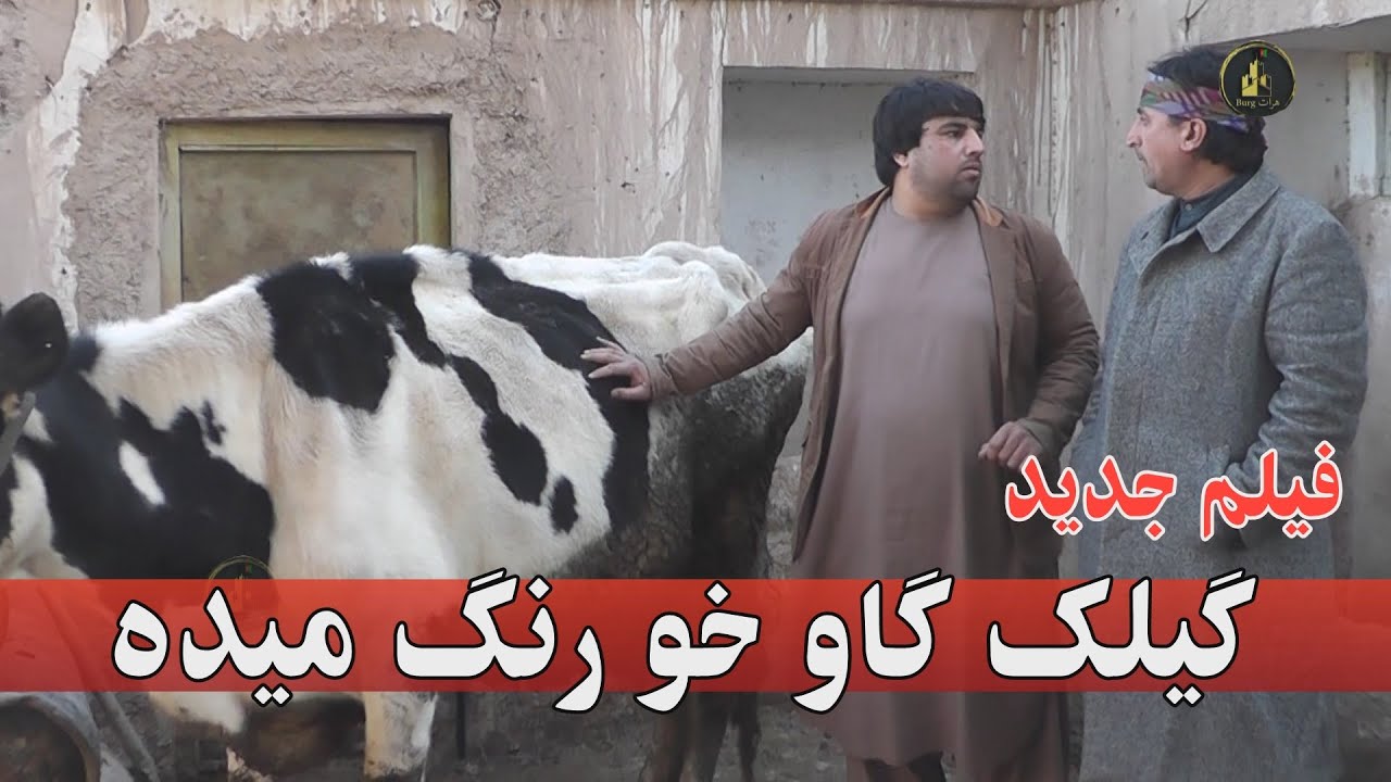 فیلم جدید | گیلک گاو خو رنگ میده!