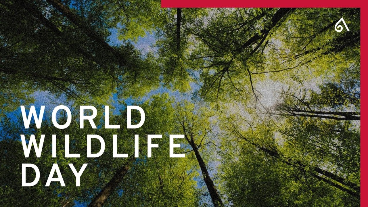 World Wildlife Day 2026: Celebrating a Legacy Rooted in Nature