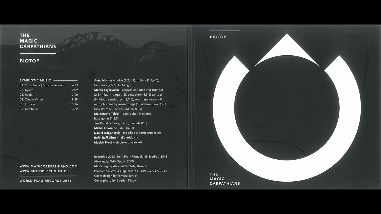 Magic Carpathians Project, The - 06. Cambium
