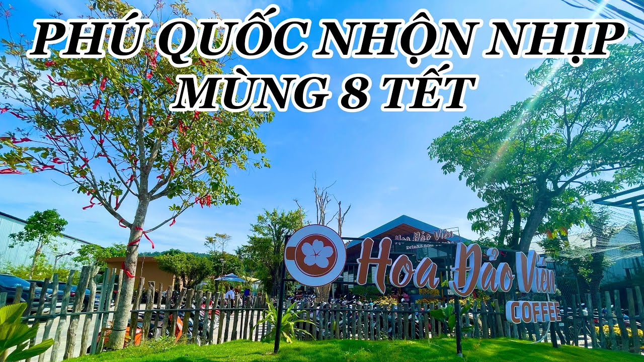 Mùng 8 Tết 2023 Các Tuyến Đường & Quán Coffee Hoa Đảo Viên Đường Trần Hưng Đạo 67HA Đông Không Tưởng