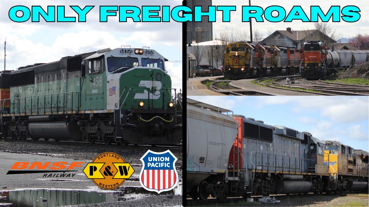 An all freight day at Vancouver, WA, ft: @TracksideSamOfficial @BNSF_6022