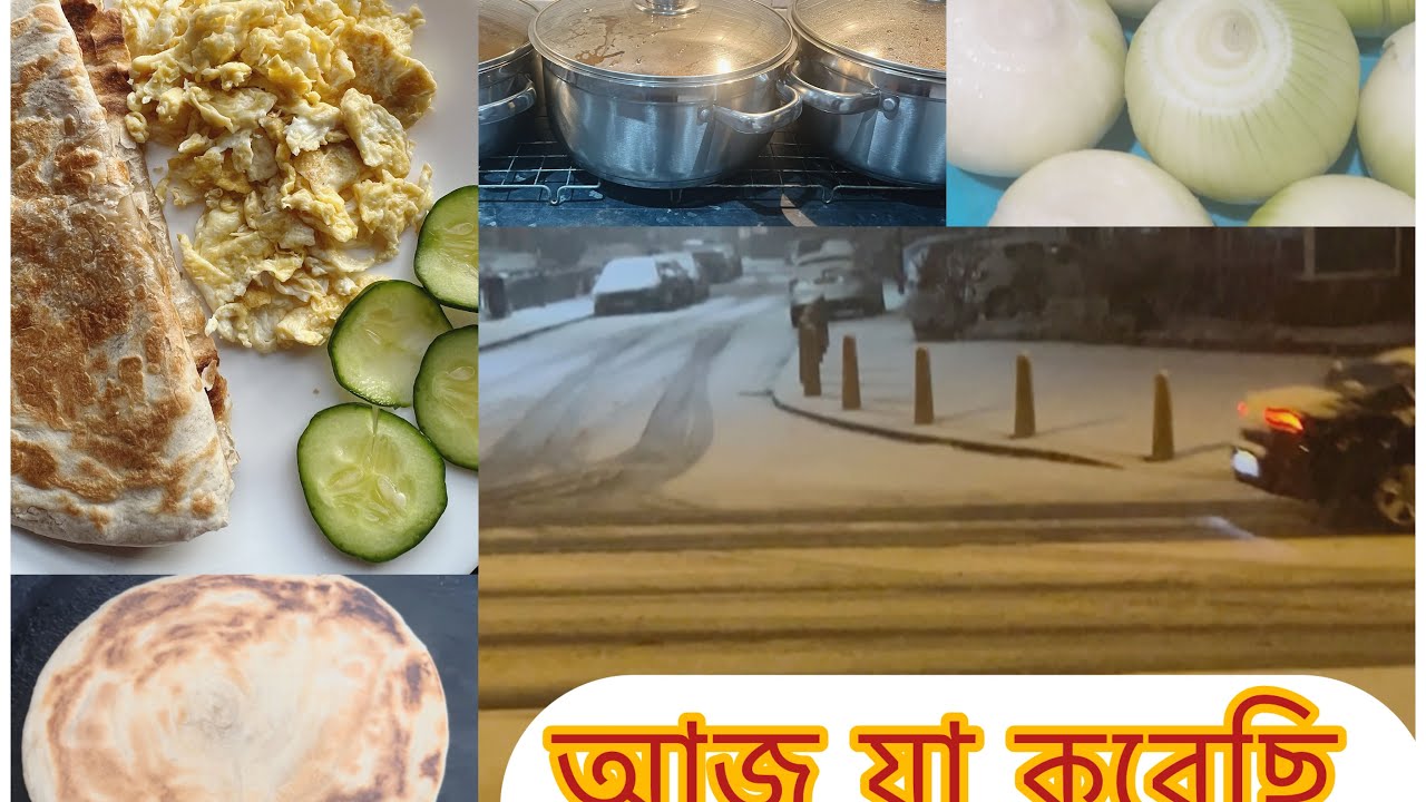 আজ সারাদিন যা যা করলাম রান্না বান্না সহ ॥Daily Vlogs#Bengalivlogs!Husnara Cook And vlogs 