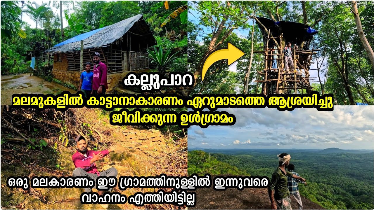 🐘മലമുകളിൽ കാട്ടാനകാരണം ഏറുമാടത്തെ ആശ്രയിച്ചു ജീവിക്കുന്ന ഉൾഗ്രാമം കല്ലുപാറ 🐘