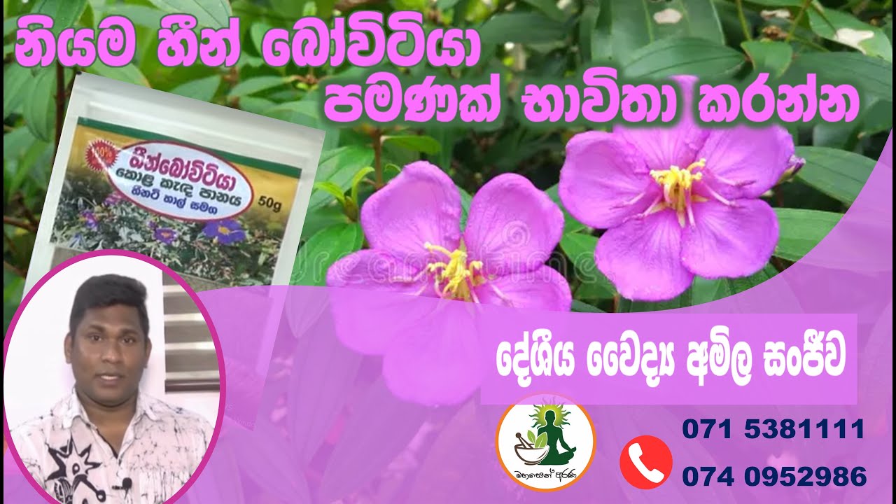 විස්මිත ගුණ දෙන හීන් බෝවිටියා|The humble Bovitiya who gives amazing qualities