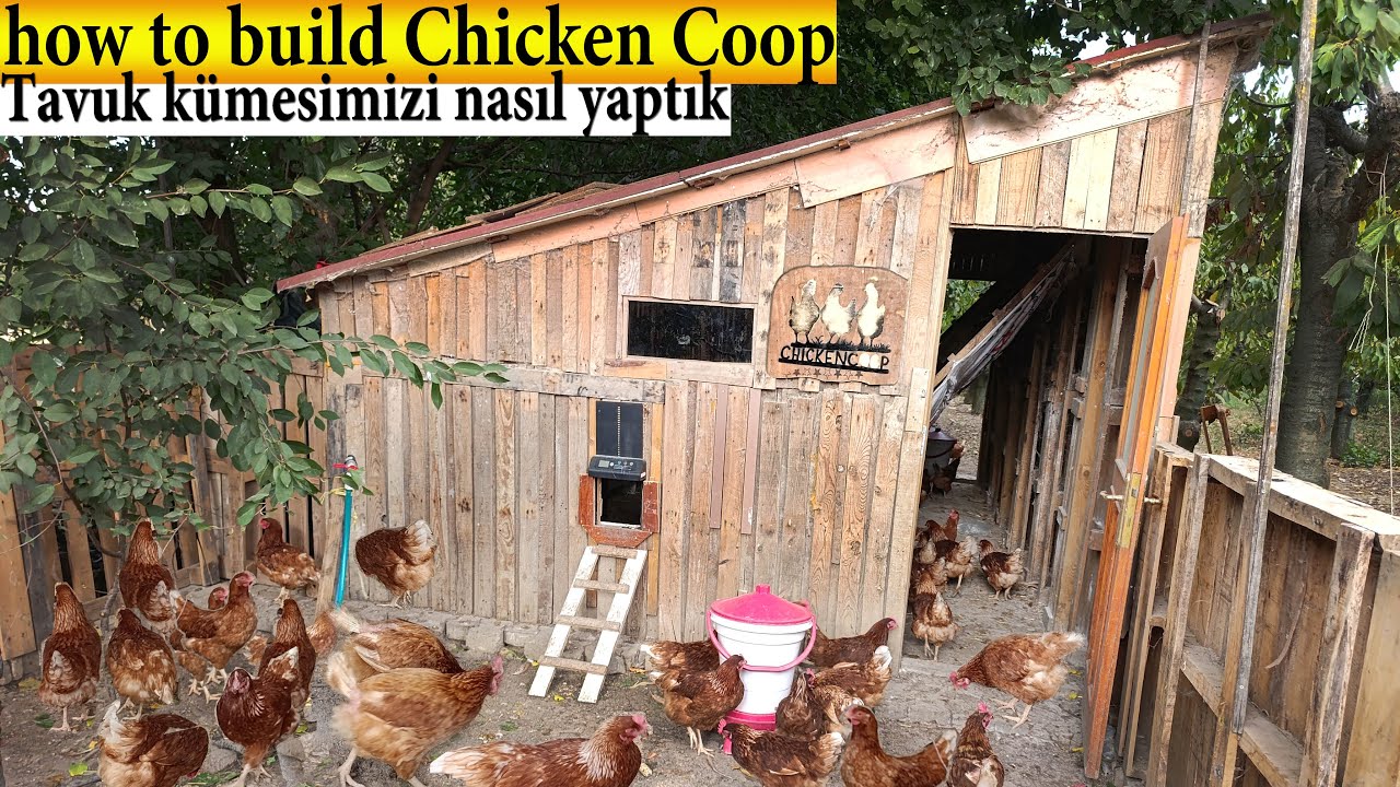 Bungalov Tavuk Kümes Yapımı | 150 Tavuk Kapasiteli Modern Kümes Yaptık!
