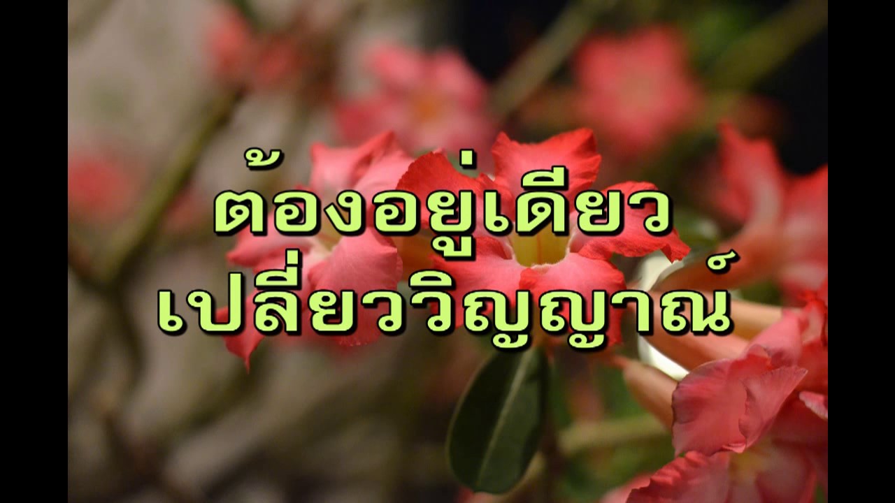 เพลงพระราชนิพนธ์ (สุนทราภรณ์) - 12 ยามเย็น (ศรีสุดา รัชตะวรรณ)