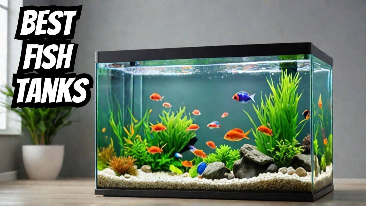 Top 10 BEST Fish Tanks of 2025 (Must Watch Before Buying!)