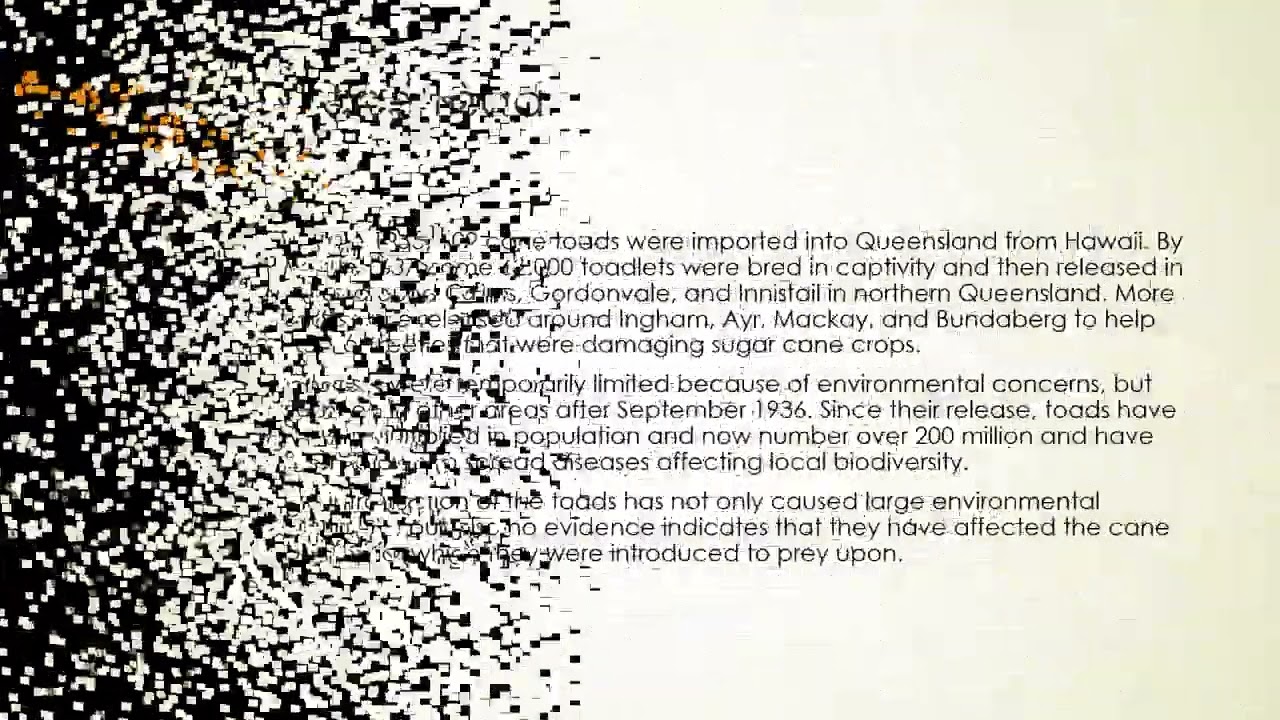 Australian Environmental Issues- Invasive Species