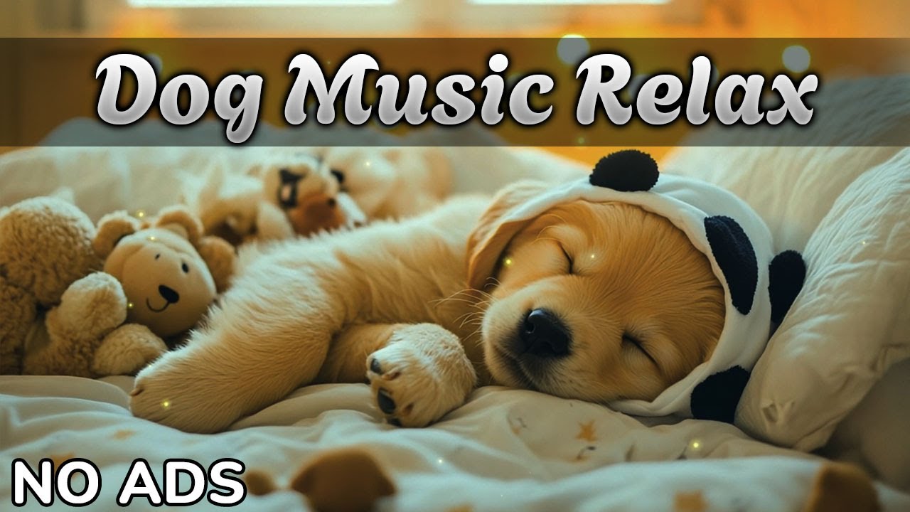 12 Часов Музыки для Собаки 🐾 Музыка для собак от тревоги 🐕 Спокойствие, Снятие Стресса, Без Рекламы