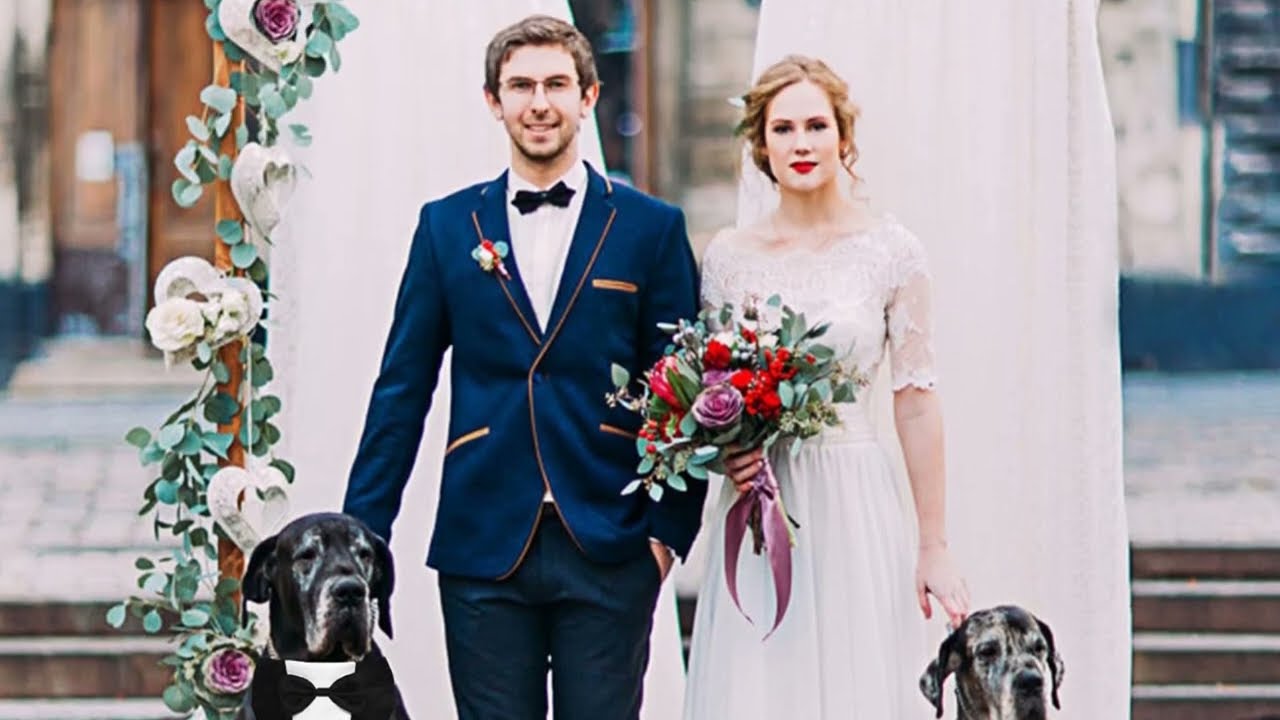 Your Pup&rsquo;s Big Day: Dog Tuxedo for Weddings & Parties! 👔🐶 | Elegant Dog Bandana with Bow Tie