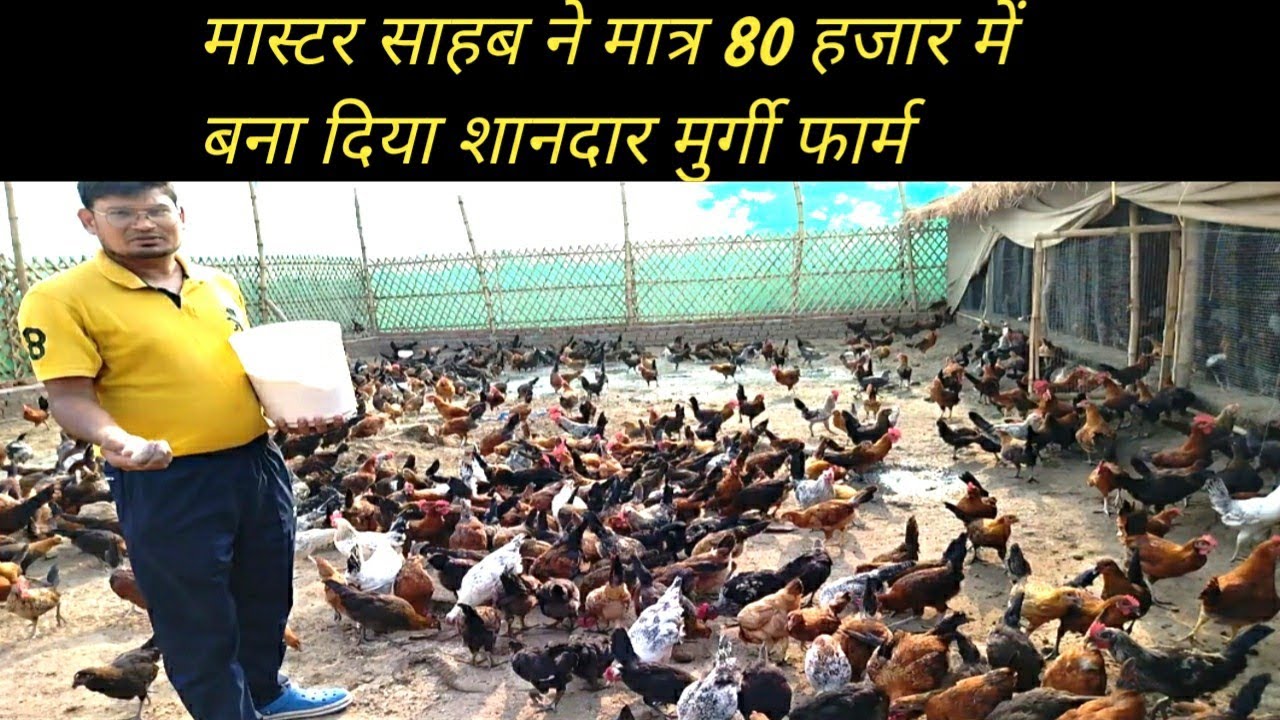 पटना के मास्टर साहब का सोनाली मुर्गी फार्म  | Sonali murgi farm