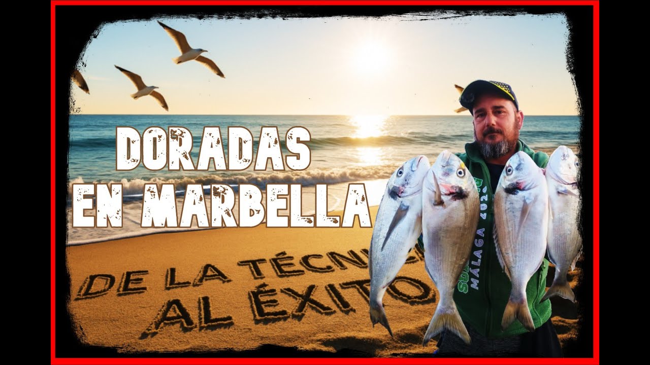 🌊 Surfcasting - DORADAS EN MARBELLA: DE LA TÉCNICA AL ÉXITO 🎣