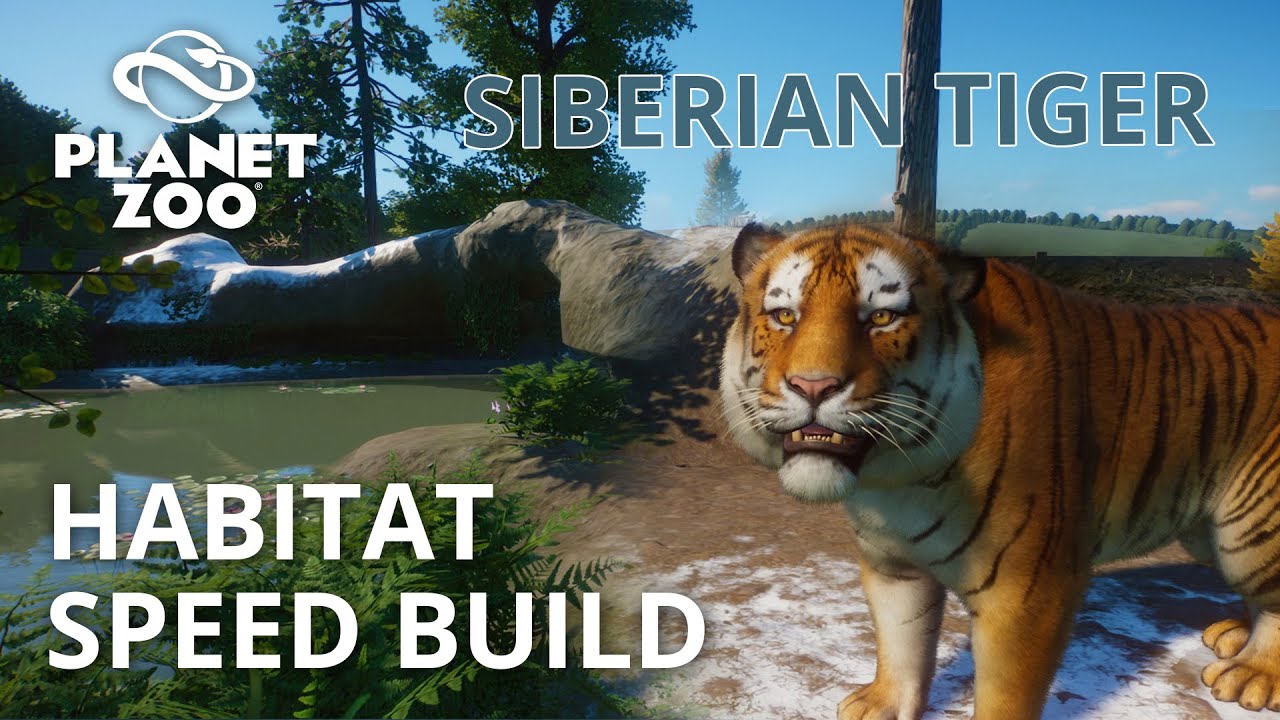 Planet Zoo | Siberian Tiger Habitat Speed Build