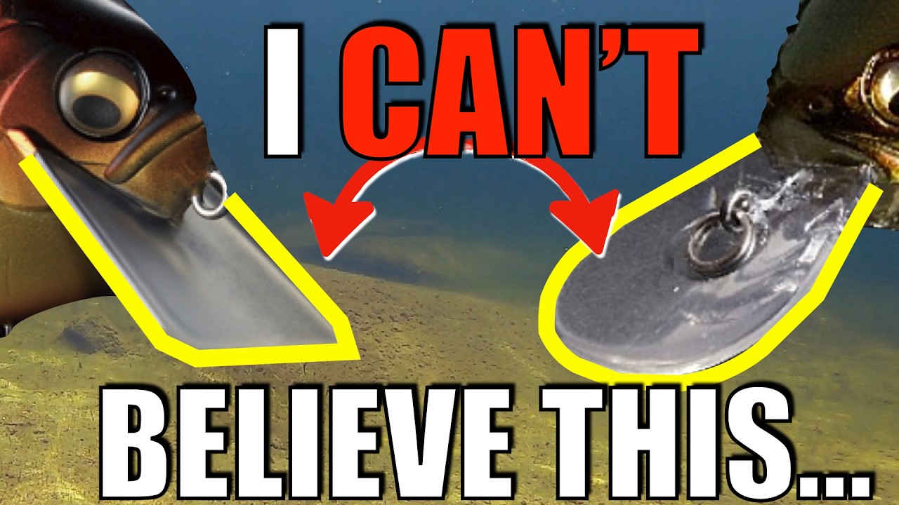 Square Bill vs Round Bill: NEVER-SEEN Underwater Action Showdown