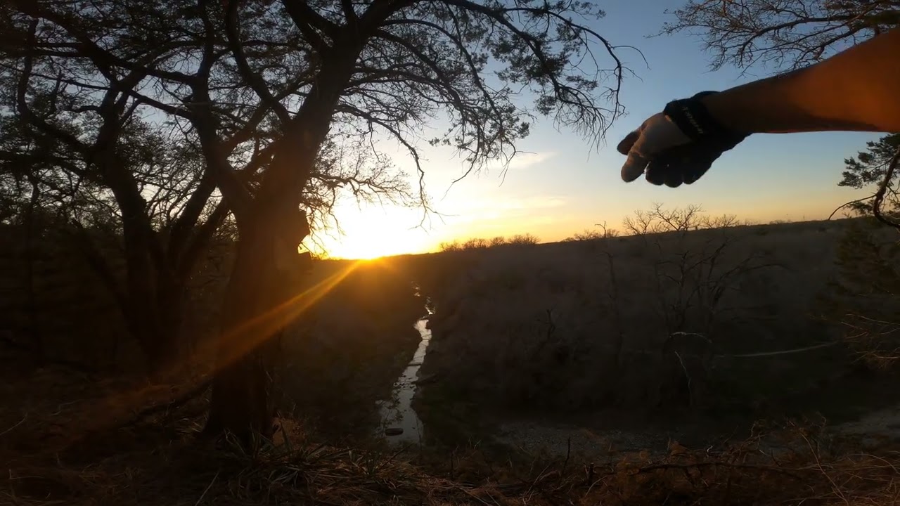 SHARK FIGHTER: New Trail in Georgetown Texas