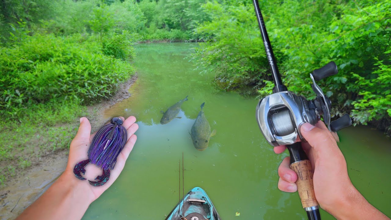 Hunting GIANT BASS In Abandoned Farm Lake! (Kayak Fishing)