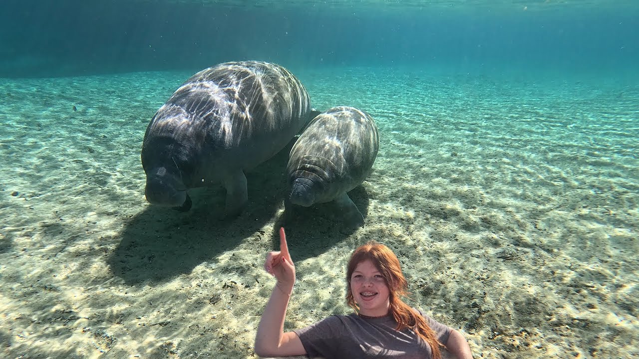 Silver Glen Springs | Family fun on the St. Johns River