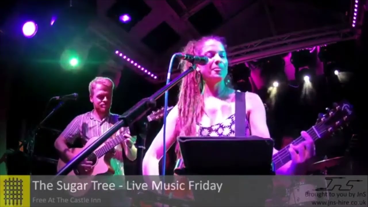 Fun moments, fun band, fun musicians... The Sugar Tree in UK