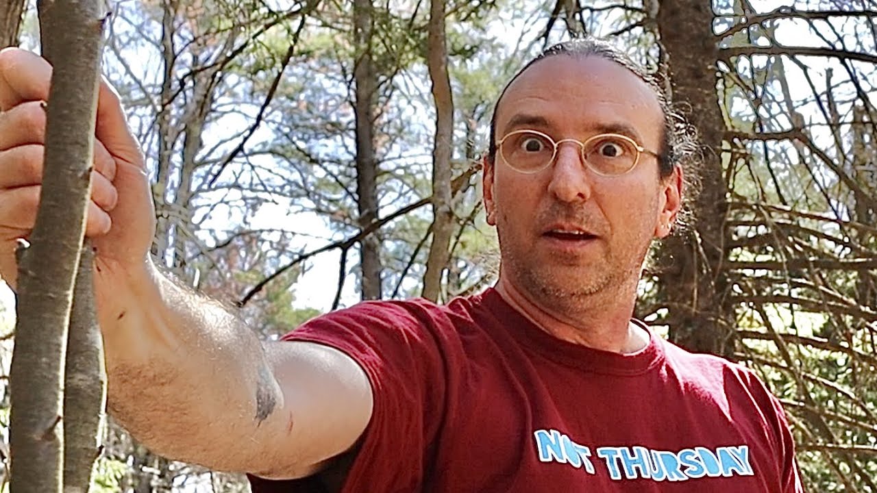That was amazing ! metal detecting this untouched colonial site full of relics