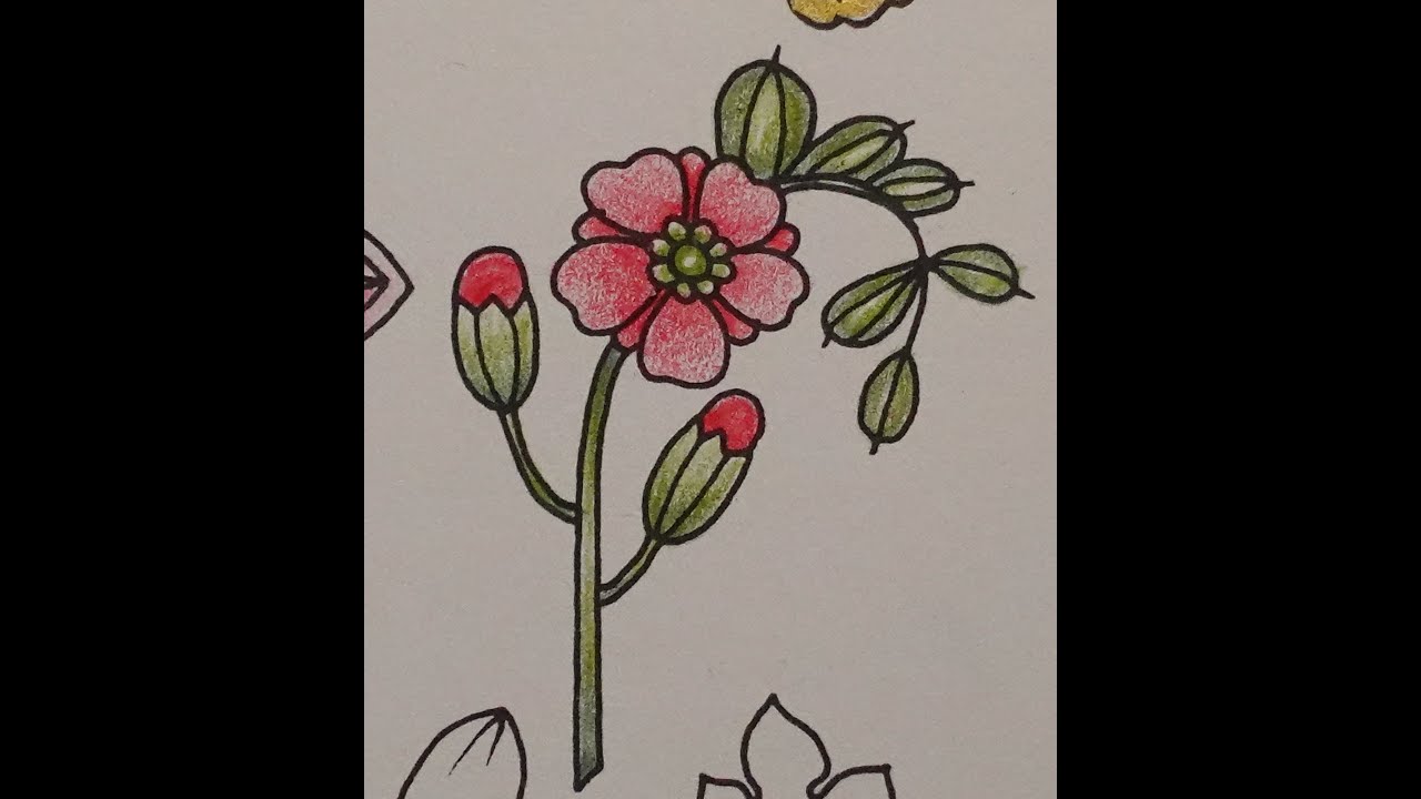 Adult Colouring Tutorial Light red Flower - from Ivy and the Inky Butterfly by Johanna Basford