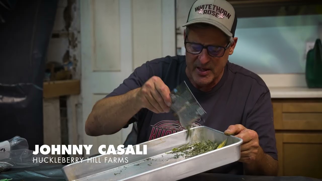 Johnny Casali Shows How They Sort Seeds at Huckleberry Hill Farms