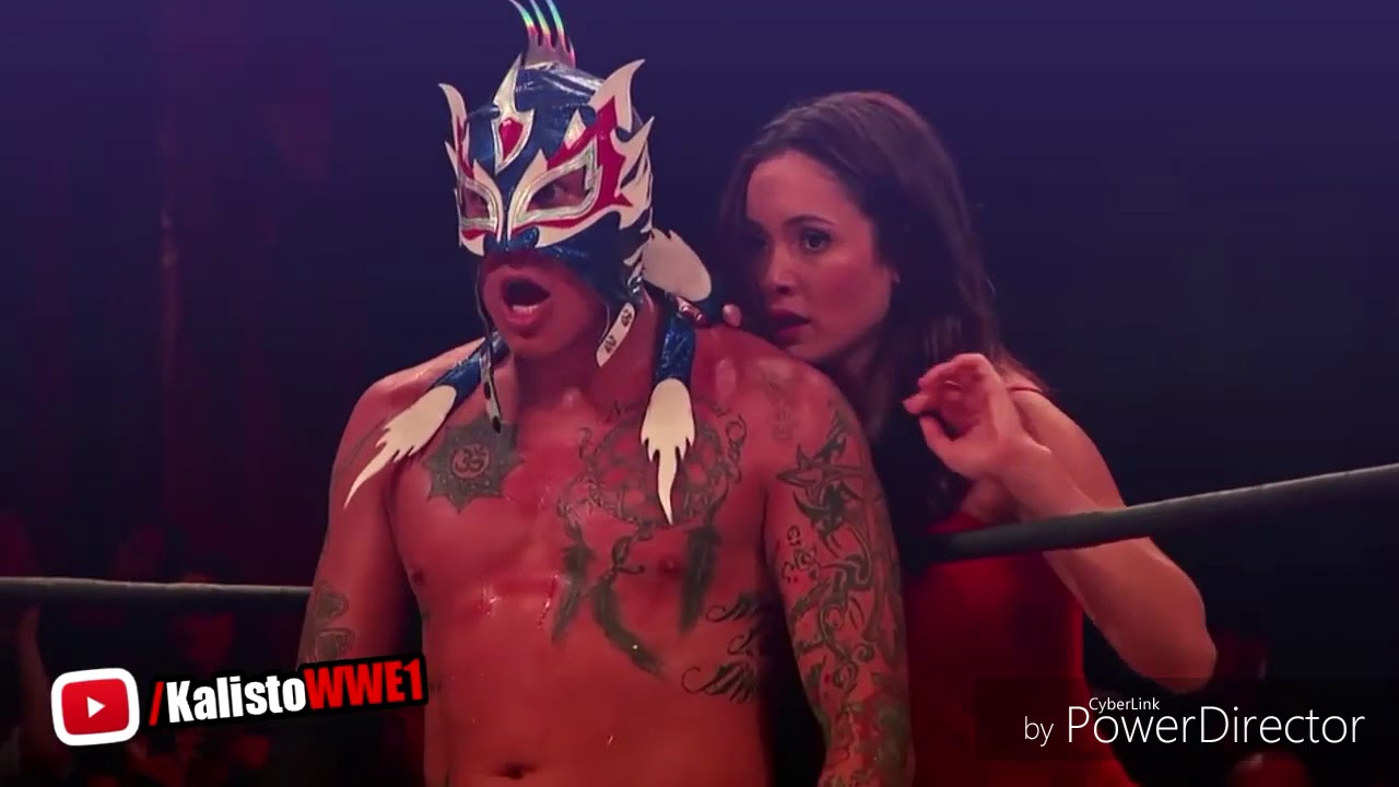 Tributo a rey fenix