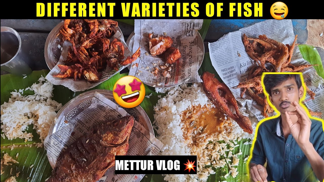 Mettur dam vlog 🤩💥 | Vena aluthuruve