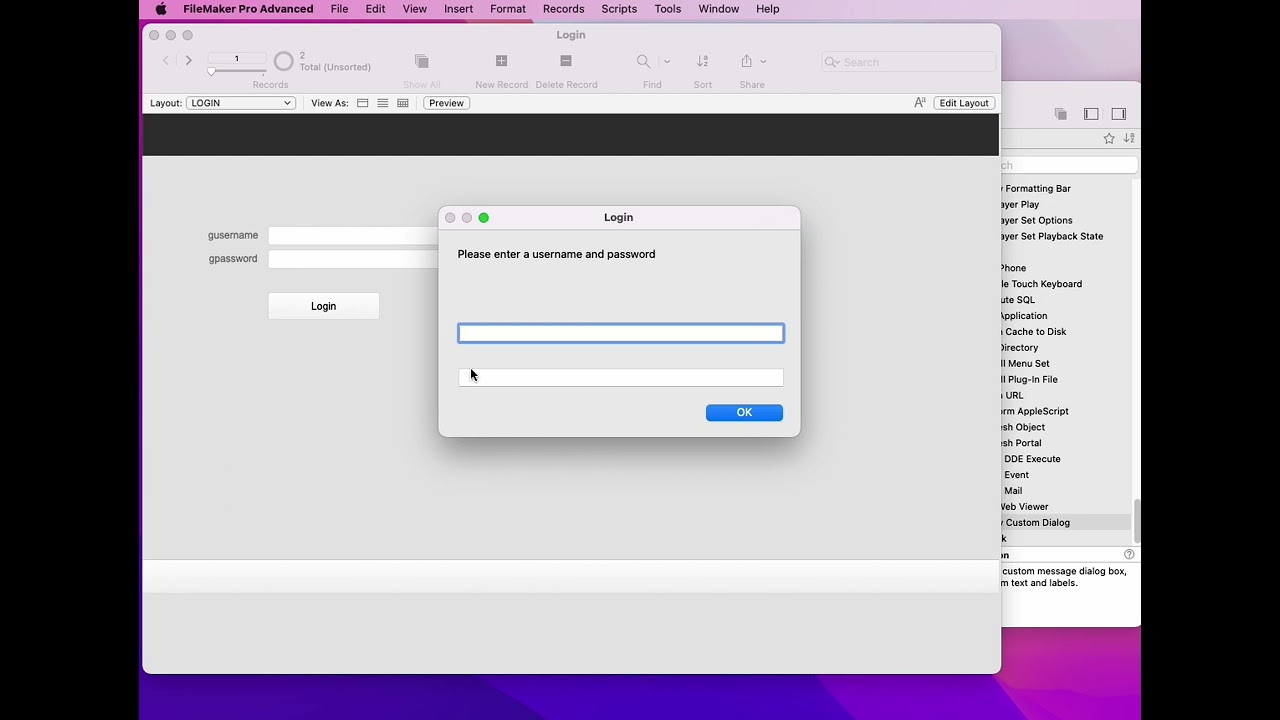 Basic Login Starter Solution for FileMaker