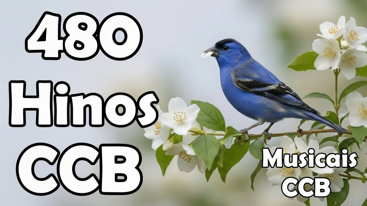 480 Hinos Cantados CCB - 100,102,104,105,106,107,108,109,110,111,112,113,114,115 - Musicais CCB