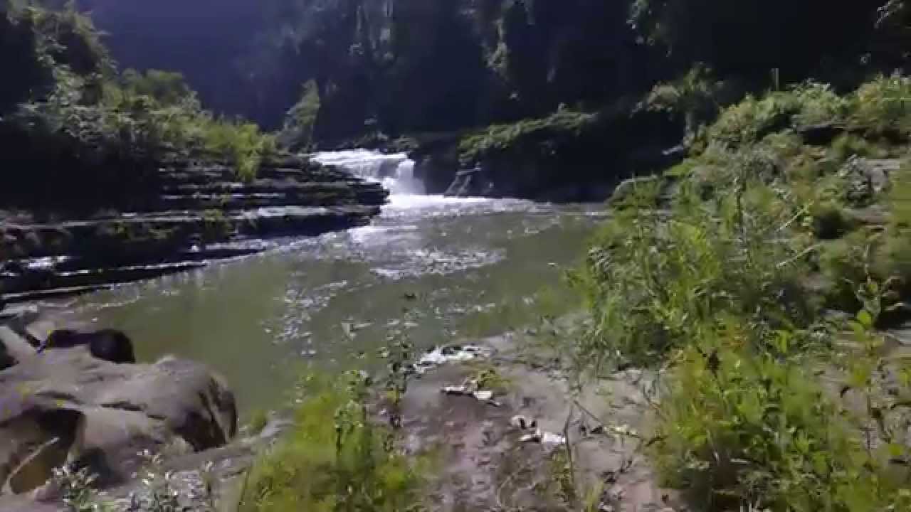 Amiakum