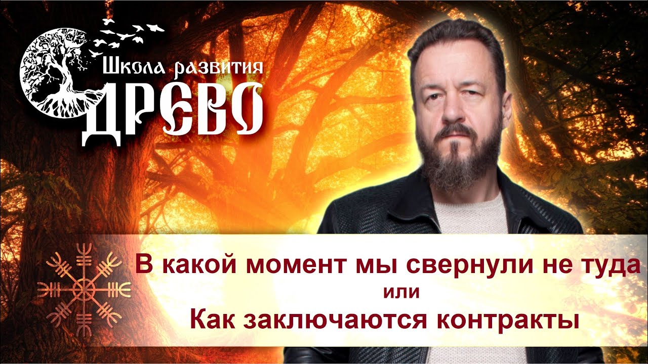 В какой момент мы свернули не туда, или Как заключаются контракты